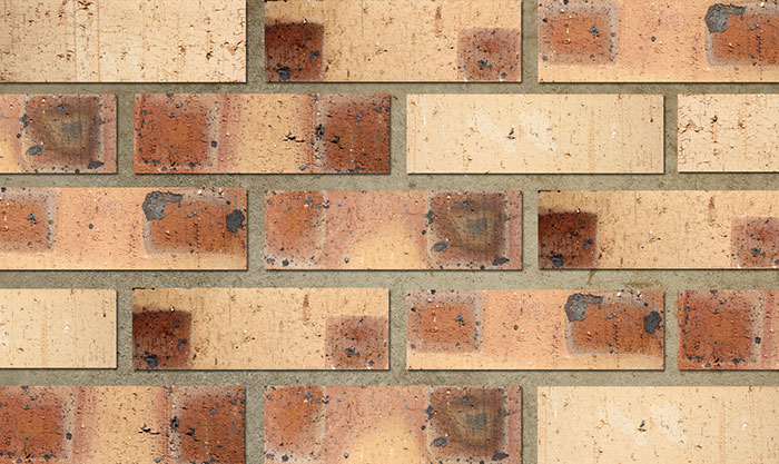 Montana Blend Travertine